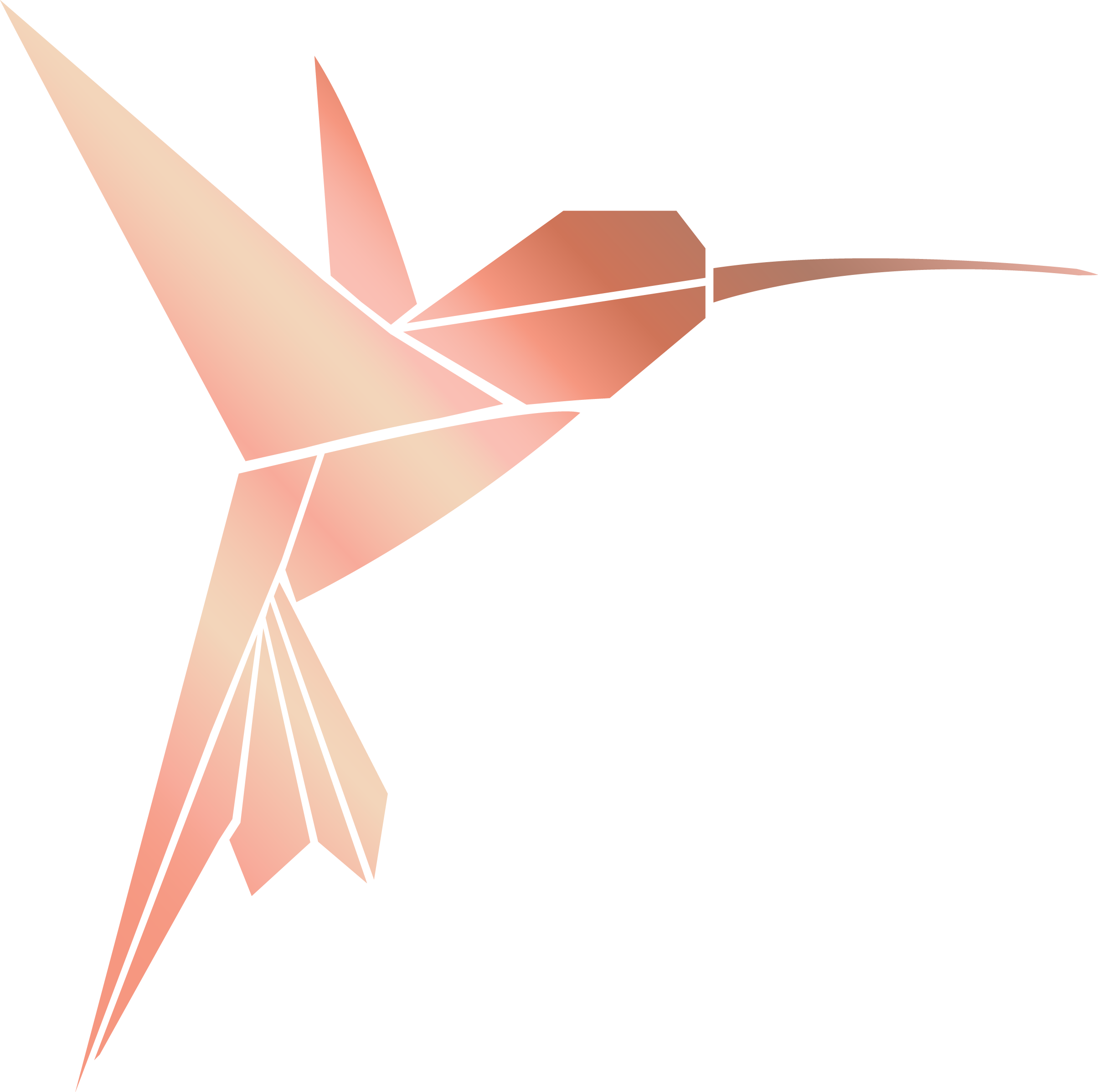 typisch de kolibrie